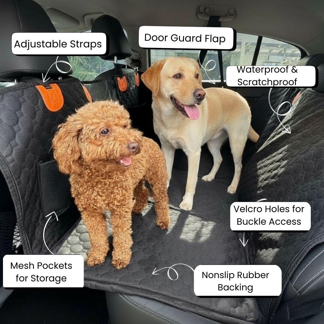 Bark&Ride 2.0™ - Hard Bottom Dog Car Seat Protector